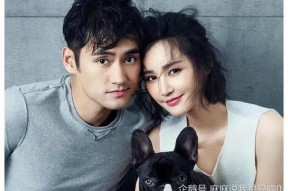 娱乐圈业内吃瓜,揭秘幕后真相，吃瓜群众齐围观！