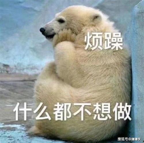 别人发个吃瓜表情我该怎么回