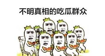 吃瓜群众还可以怎么说