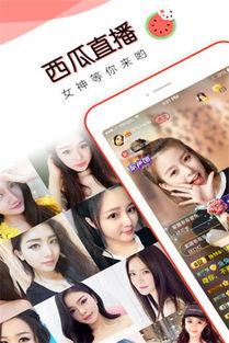 下载吃瓜直播,一场全民娱乐盛宴的狂欢之旅