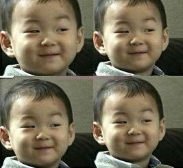 娱乐圈2016年吃瓜