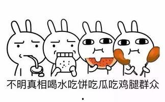 吃瓜群众网络新词,网络新词背后的社会现象解析