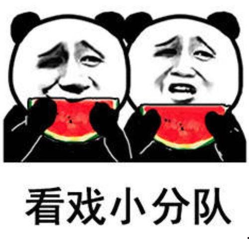 吃瓜娱乐日常,揭秘娱乐圈的日常趣味