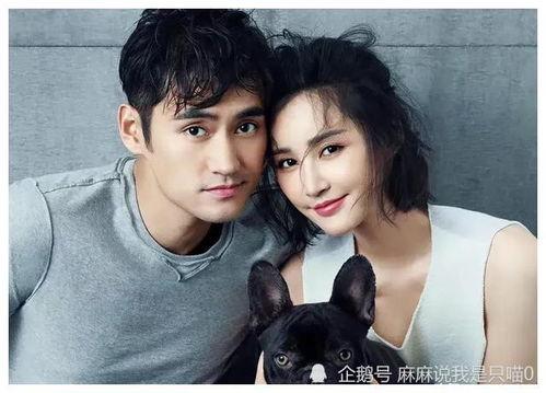 娱乐圈吃瓜爆料贾玲,揭秘明星背后的故事